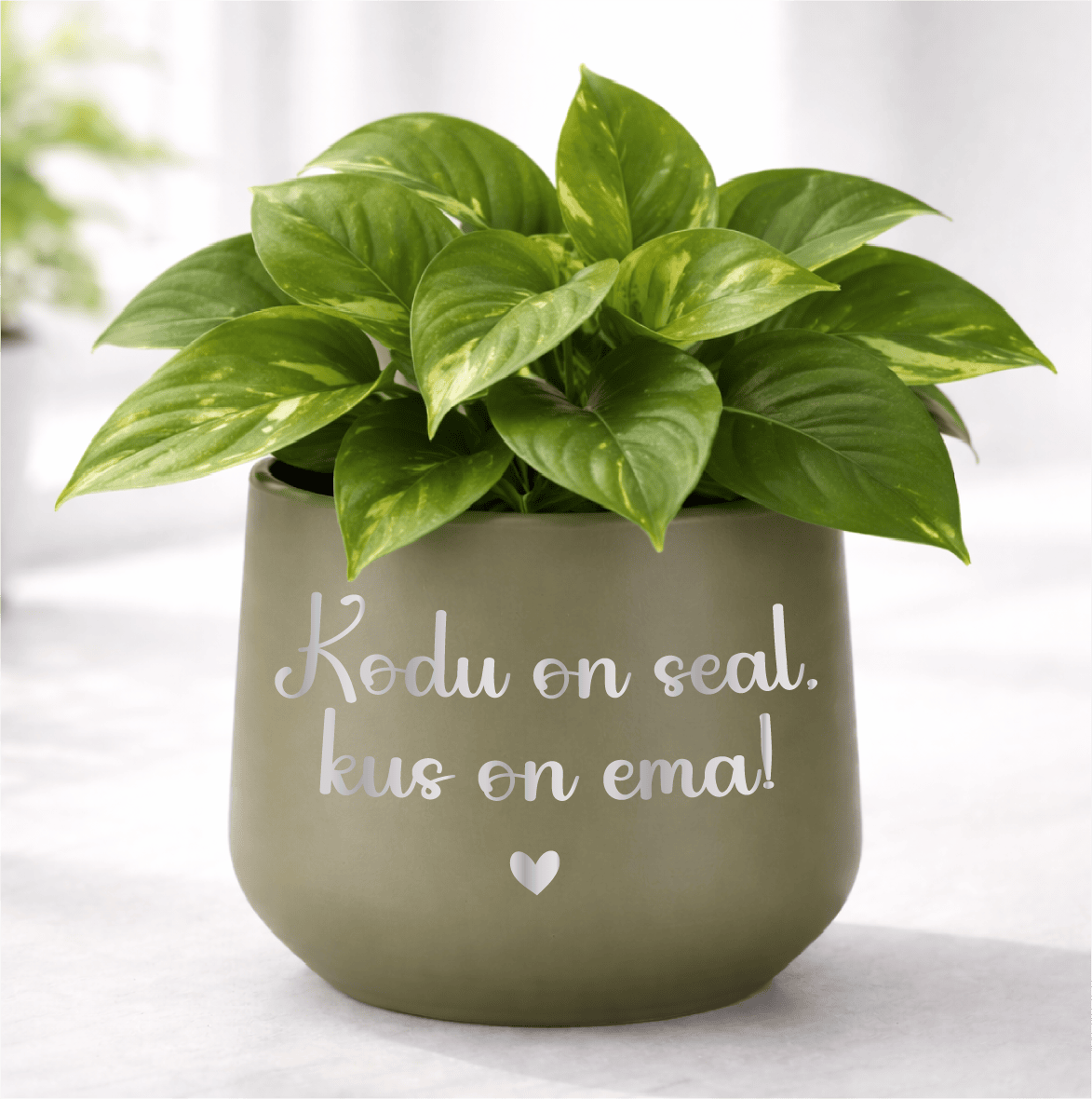 Roheline toataim potis koos sõnumiga "Kodu on seal, kus on ema".