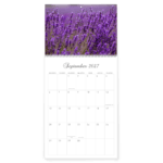 MONO perekalender "Lavendel" - Pilt 2