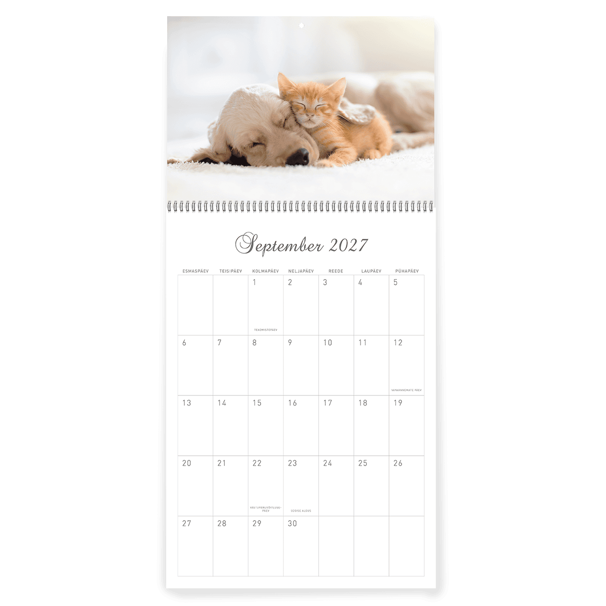 Alternative view of MONO perekalender "Kass ja koer"